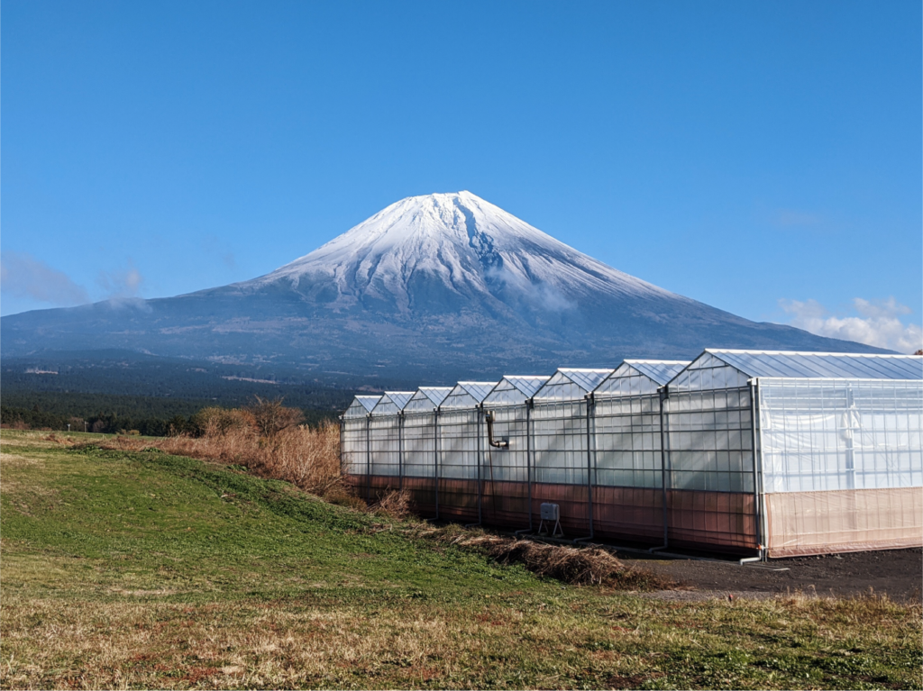 92ad54123a87cf50bdb29800d317bd